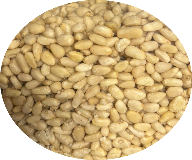 Pignons Pin Chinois 200g