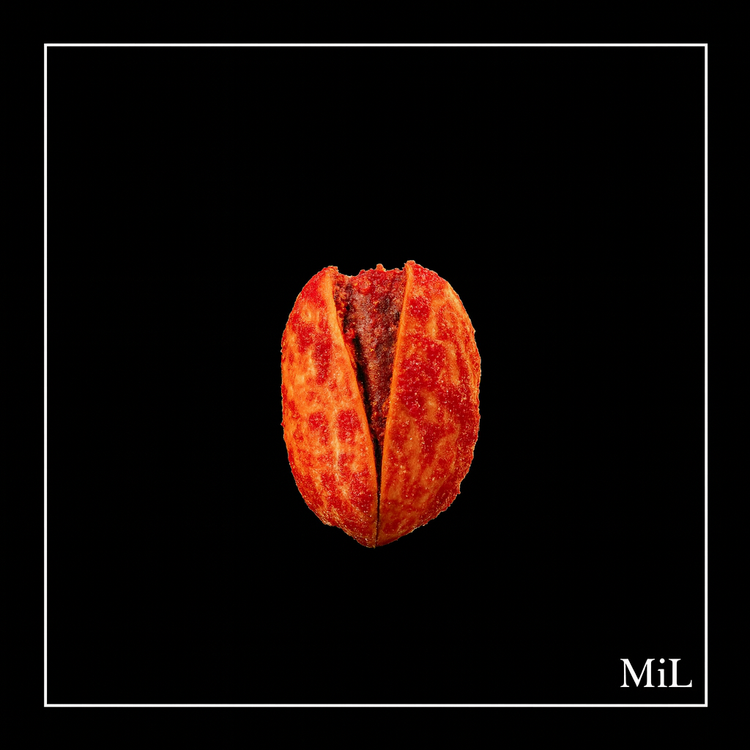Apéro Nuts Kernels Graines Fruits à coque