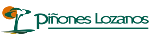 Pinones Lozanos
