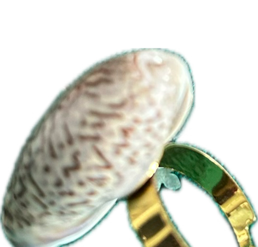Bague Argent Coquillage Gros