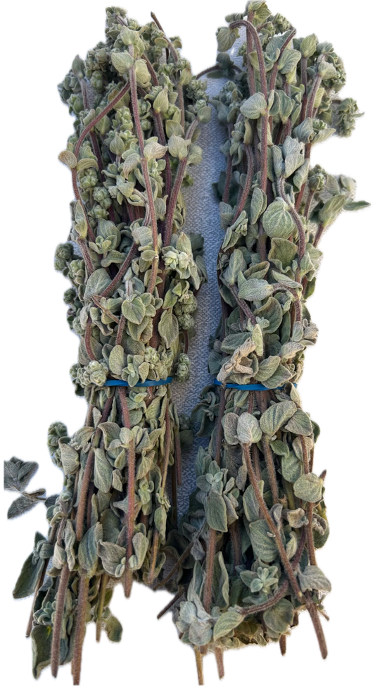 Zaatar Vert Nature Botte